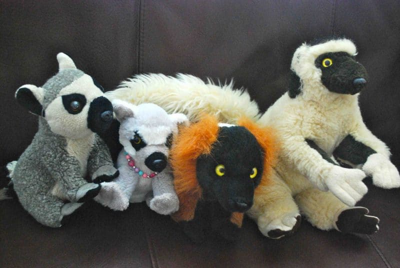 102611LemurStuffedAnimals