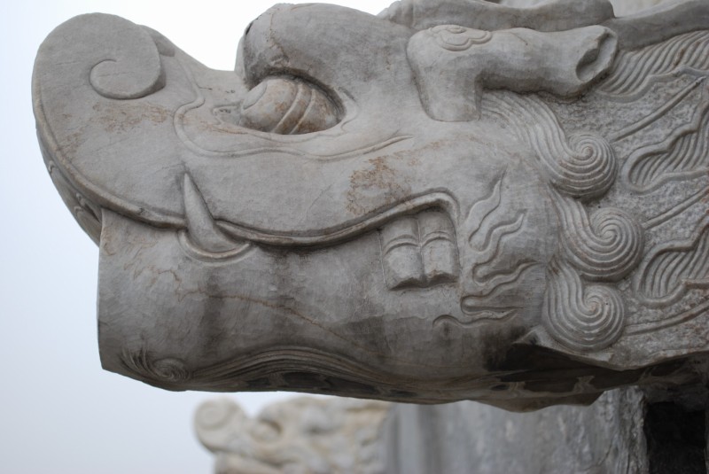 Dragon in China- Kid World Citizen