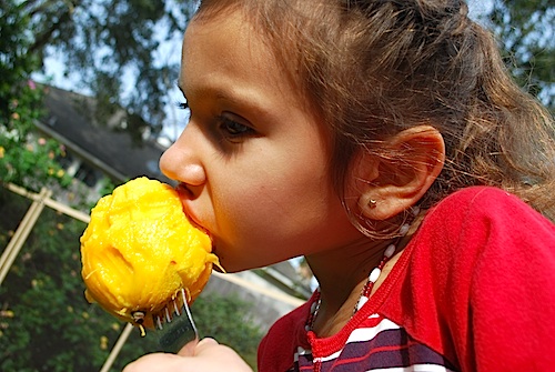 Mango Snack- Kid World Citizen Mango Snack- Kid World Citizen