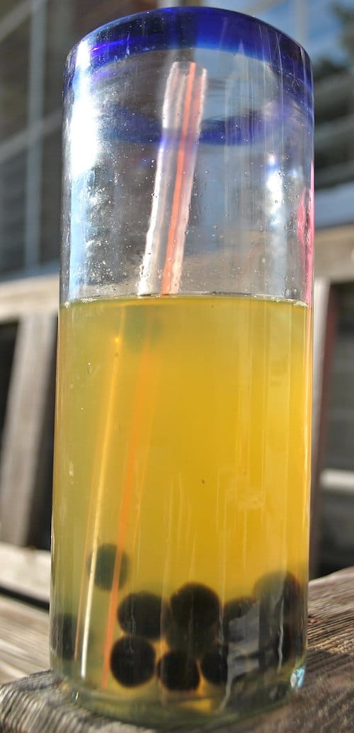 Boba Bubble Taiwanese Tea- Kid World Citizen Boba Bubble Taiwanese Tea- Kid World Citizen