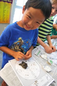 Kids Dissecting Owl Pellet Unit- Kid World Citizen