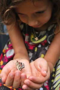 Releasing the Butterflies- Kid World Citizen Releasing the Butterflies- Kid World Citizen