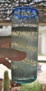 Chia Lemonade Mexico- Kid World Citizen