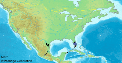 Monarch Butterflies Migration Monarch Butterflies Migration