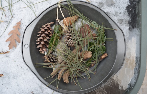Winter Crafts Nature Hike Kids- Kid World Citizen