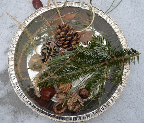 Winter Nature Hike Suncatcher- Kid World Citizen