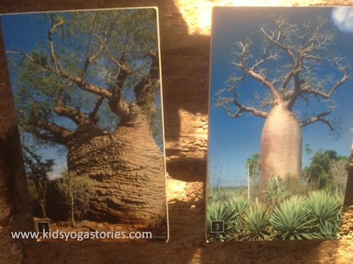 Baobab tree Yoga for Kids- Kid World Citizen