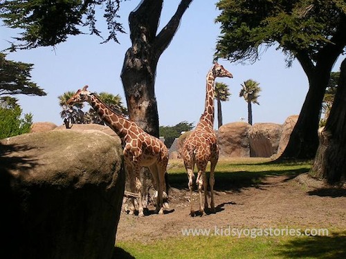 Giraffe Yoga for Kids- Kid World Citizen