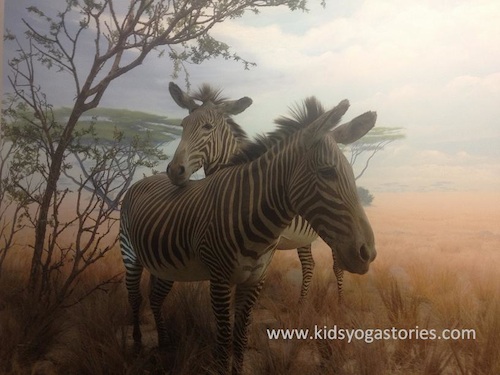 Zebra yoga for kids- Kid World Citizen