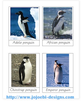 Penguin Activity Cards Kids- Kid World Citizen