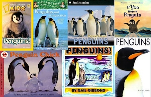 Penguins! Educational Resources for Parents and Teachers