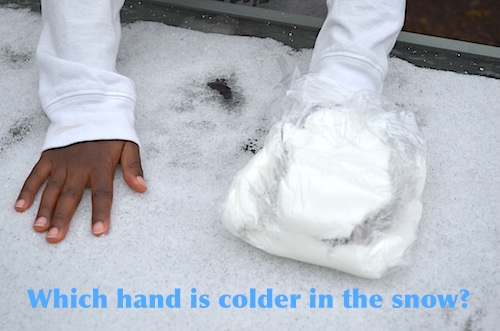 Blubber Science Experiment for Kids- Kid World Citizen