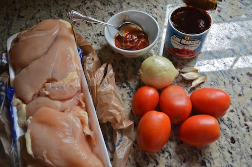 Tinga De Pollo Mexican- Kid World Citizen