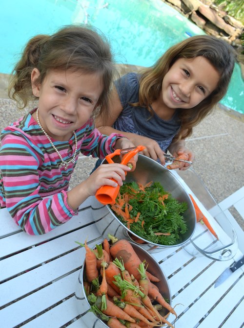 Irish Food Sunday Dinner Recipes- Kid World Citizen